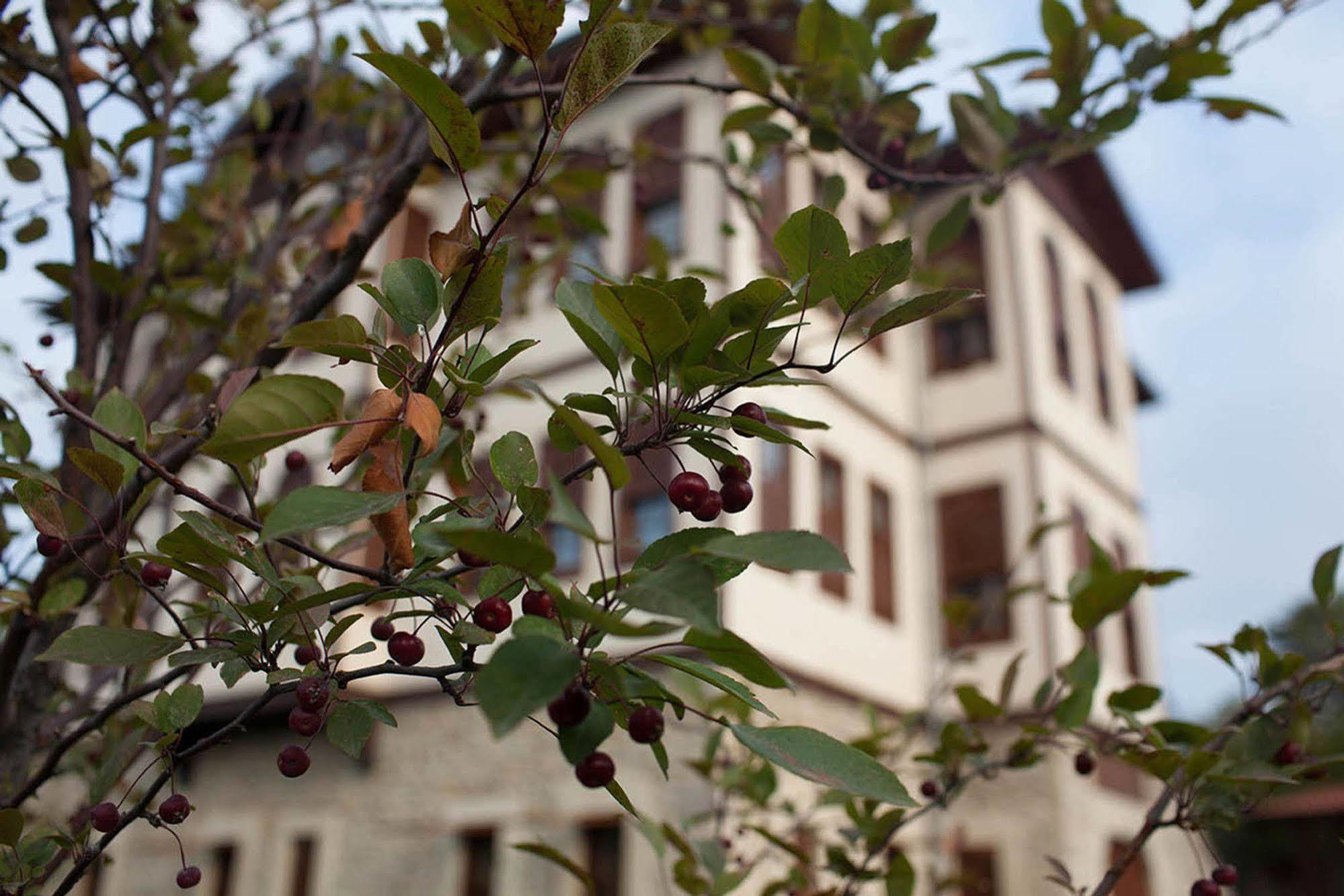 Pacacioglu Bag Evi Hotel Safranbolu Exterior photo